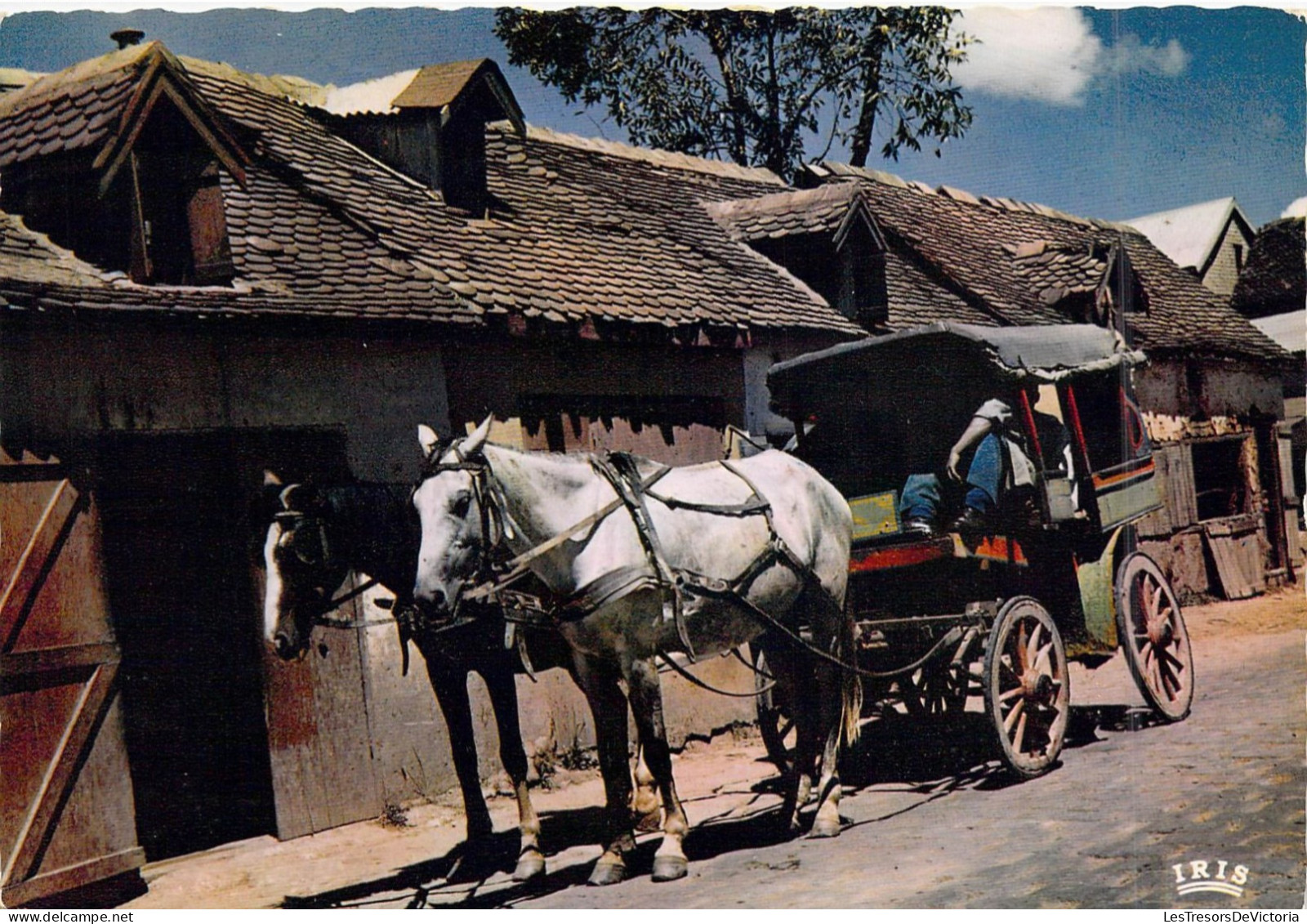 MADAGASCAR - Calèche Malgache  - Carte Postale Ancienne - Madagaskar