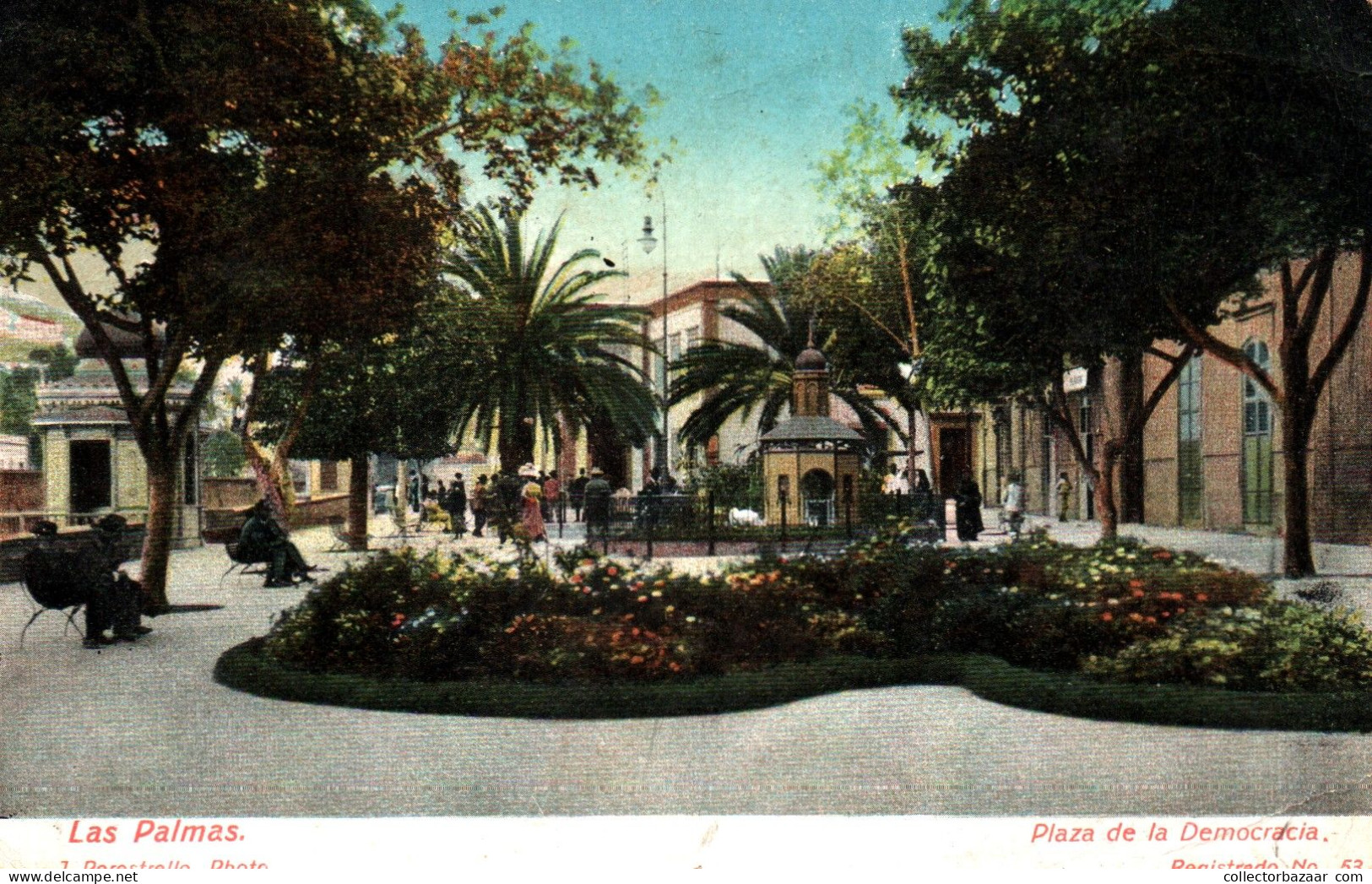 Las Palmas Plaza De La Democracia Kosk  Flower Palm Trees 18/4-2023 - La Palma
