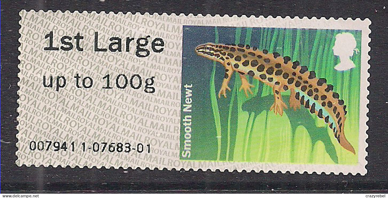 GB 2013 QE2 1st Large Letter Smooth Newt Post & Go Unused SG FS 66 ( J1494 ) - Post & Go Stamps