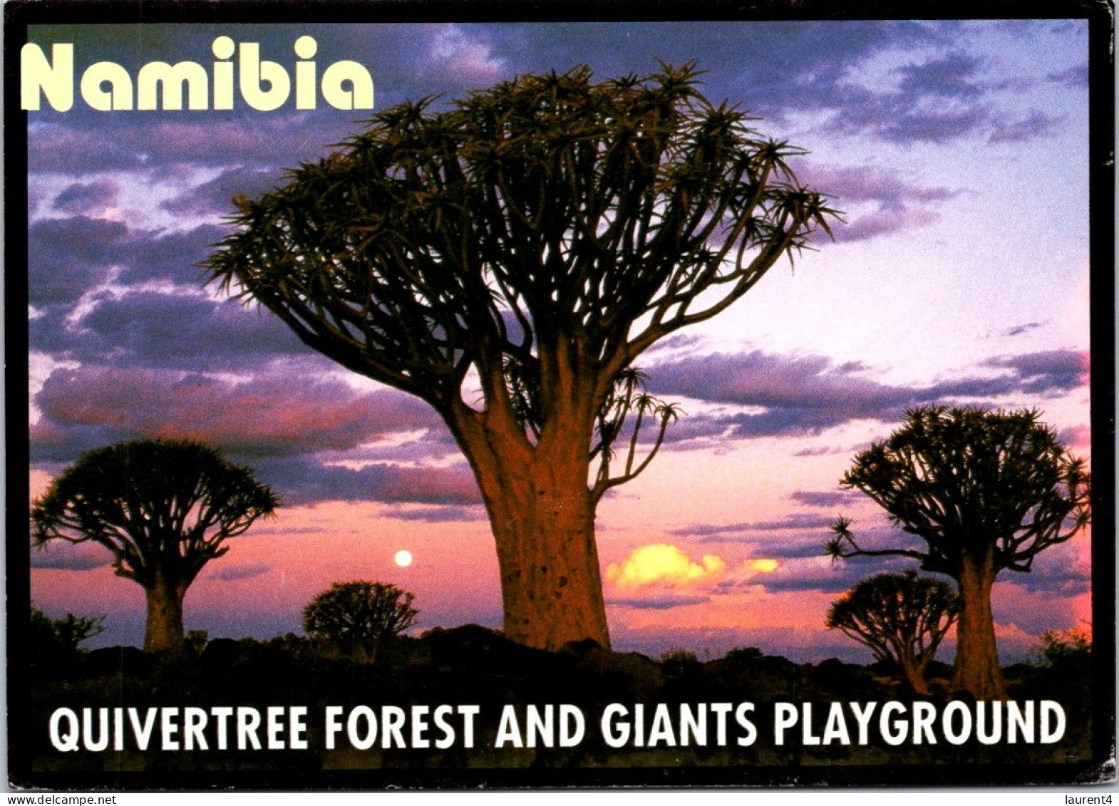 (1 Q 46)  Namibia (posted To France With Big Cat Stamp) Quivertree Forest - Namibie