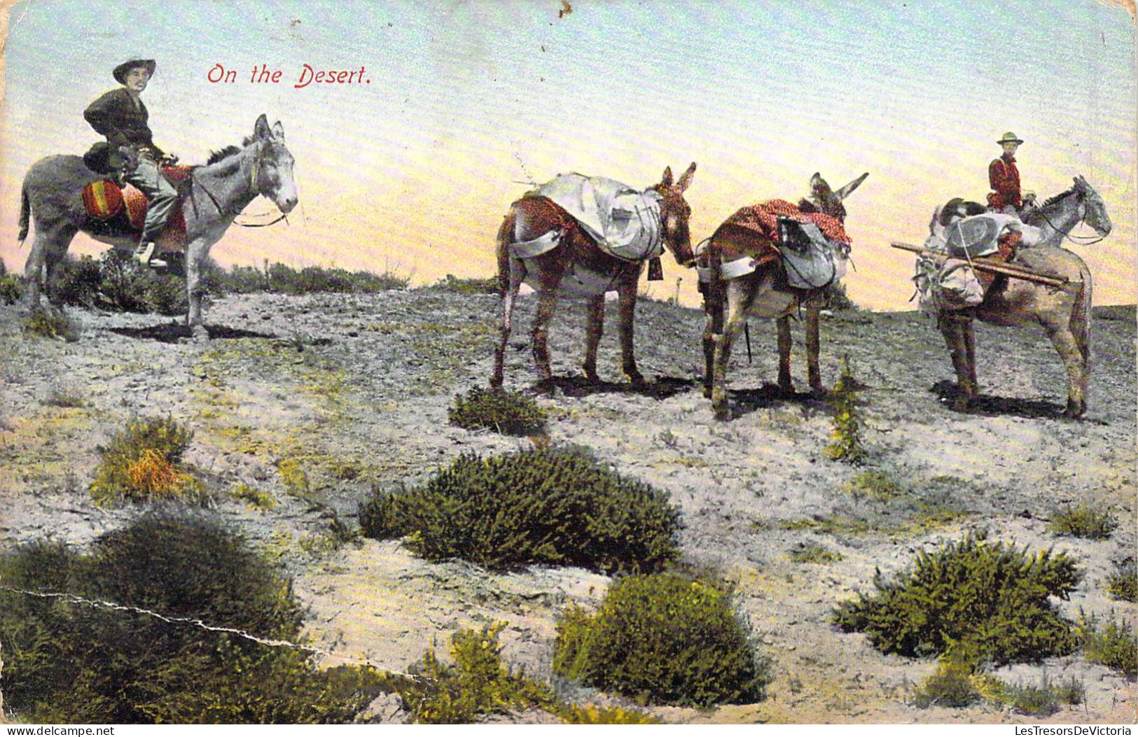 INDIENS - On The Desert - Carte Postale Ancienne - Indiani Dell'America Del Nord