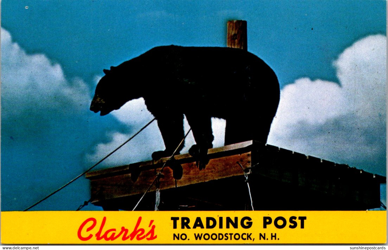 New Hampshire North Woodstock Clark's Trading Post "Ratus" Black Bear - White Mountains