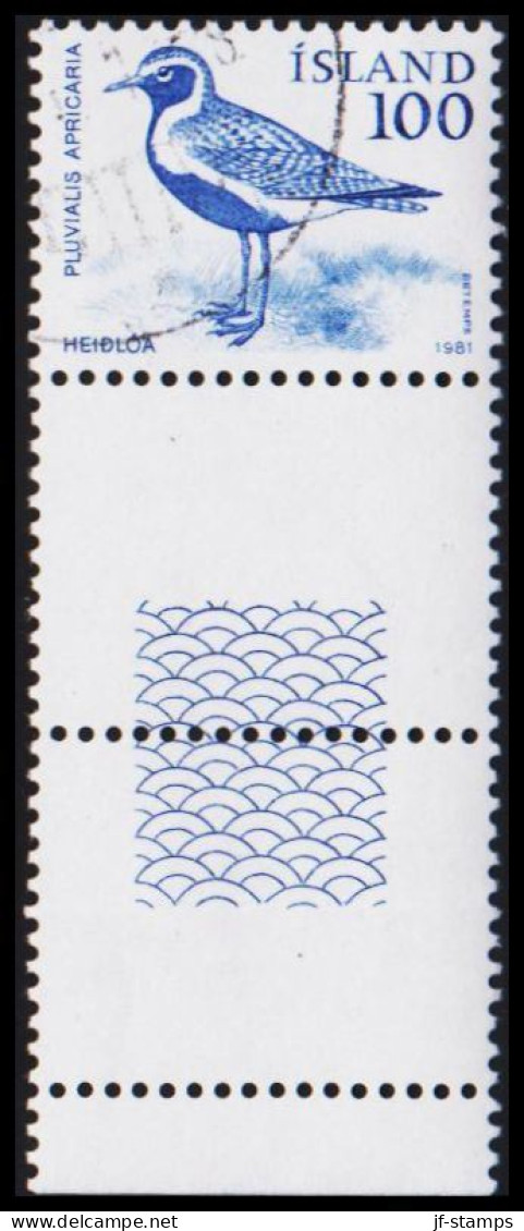 1981. ISLAND. Bird 100 A With Full Lower Margin. Unusual.  (Michel 568) - JF532078 - Used Stamps
