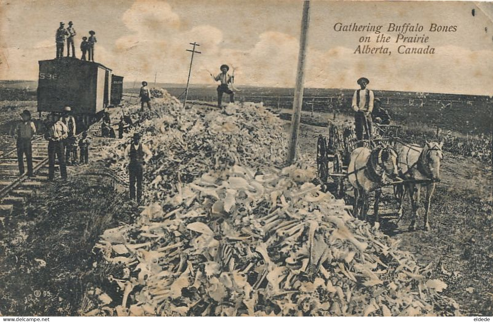 Gathering Buffalo Bones On The Prairie Alberta Train  Ramassage  Carcasses De Buffles 1907 Vers Billy Sur Aisne Venizel - Andere & Zonder Classificatie