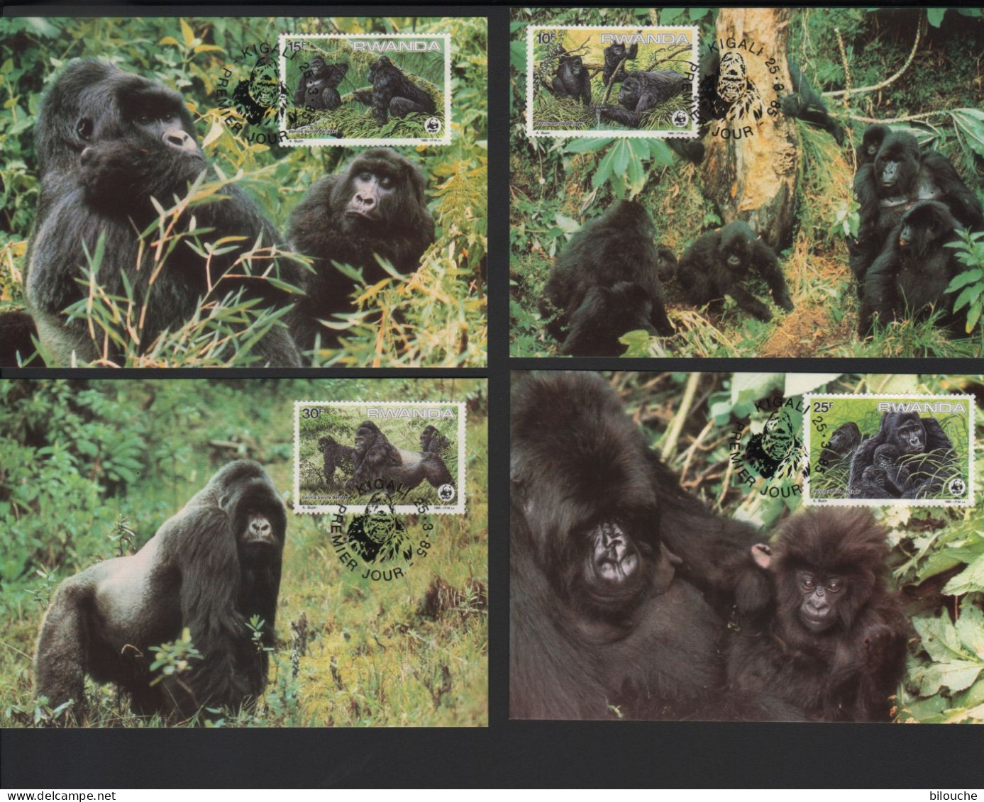 BUZIN / WWF / RWANDA 1985 / GORILLES DE MONTAGNE  / 4 CARTES OFFICIELLES - Usati