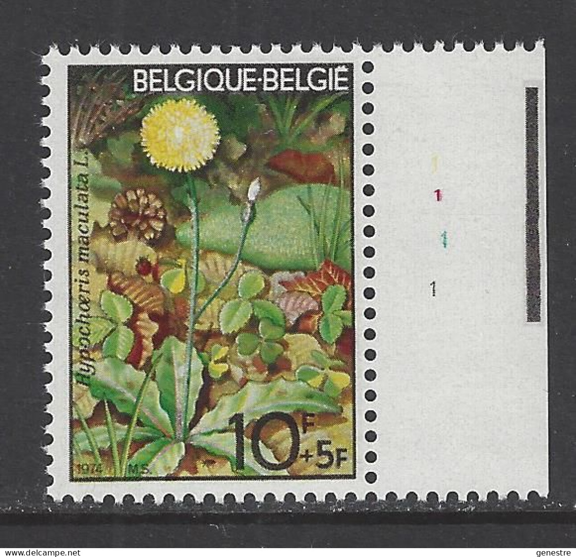 Belgique - 1974 - COB 1741 ** (MNH) - Planche 1 - 1971-1980