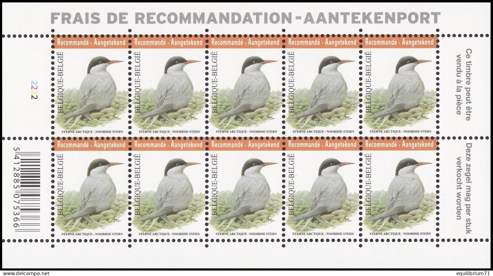 4306** PLANCHE II - Sterne Arctique / Arctische Achtersteven / Arktisches Heck - BUZIN - RECOMMANDÉ / AANGETEKEND - 2011-..