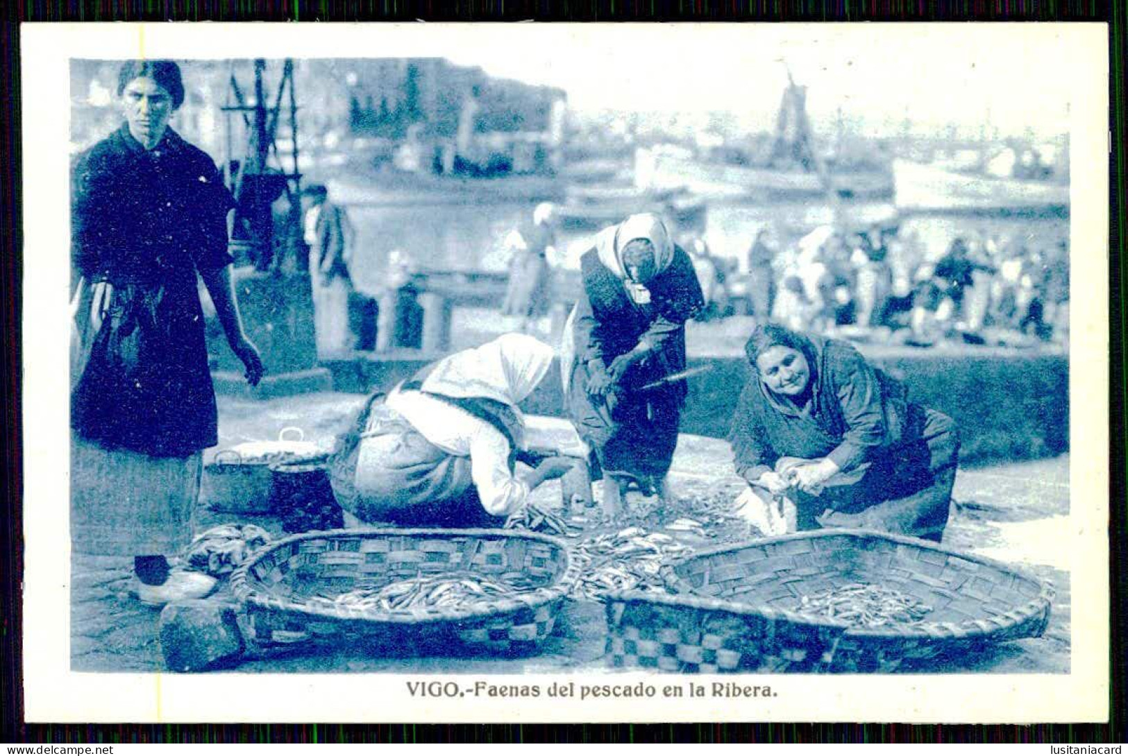 SPAIN - VIGO - Faenas Del Pescado En La Ribera. ( Ed. Heliotipia Artistica Española)   Carte Postale - Marchands