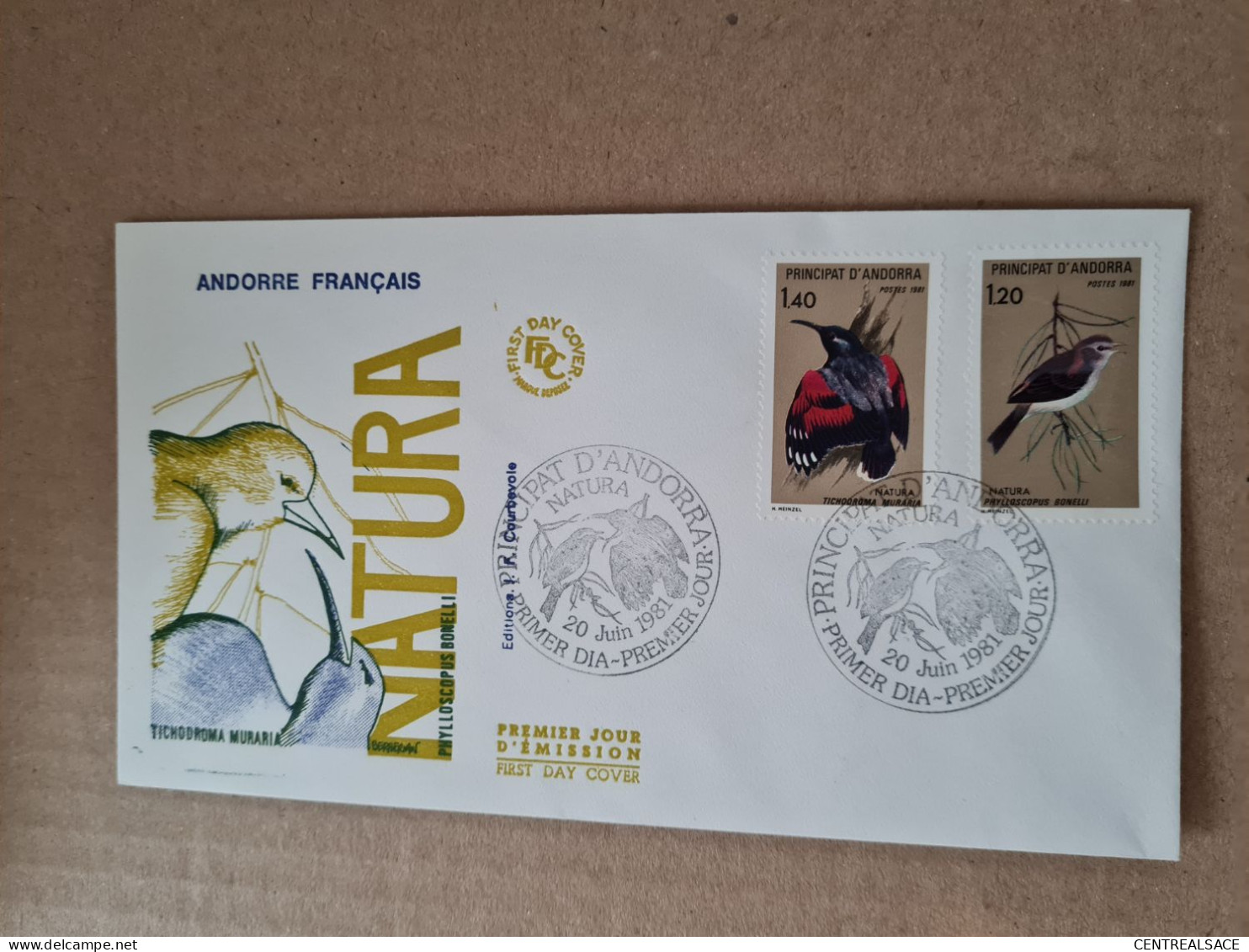 Lettre ANDORRE FDC 1981 NATURA - Lettres & Documents