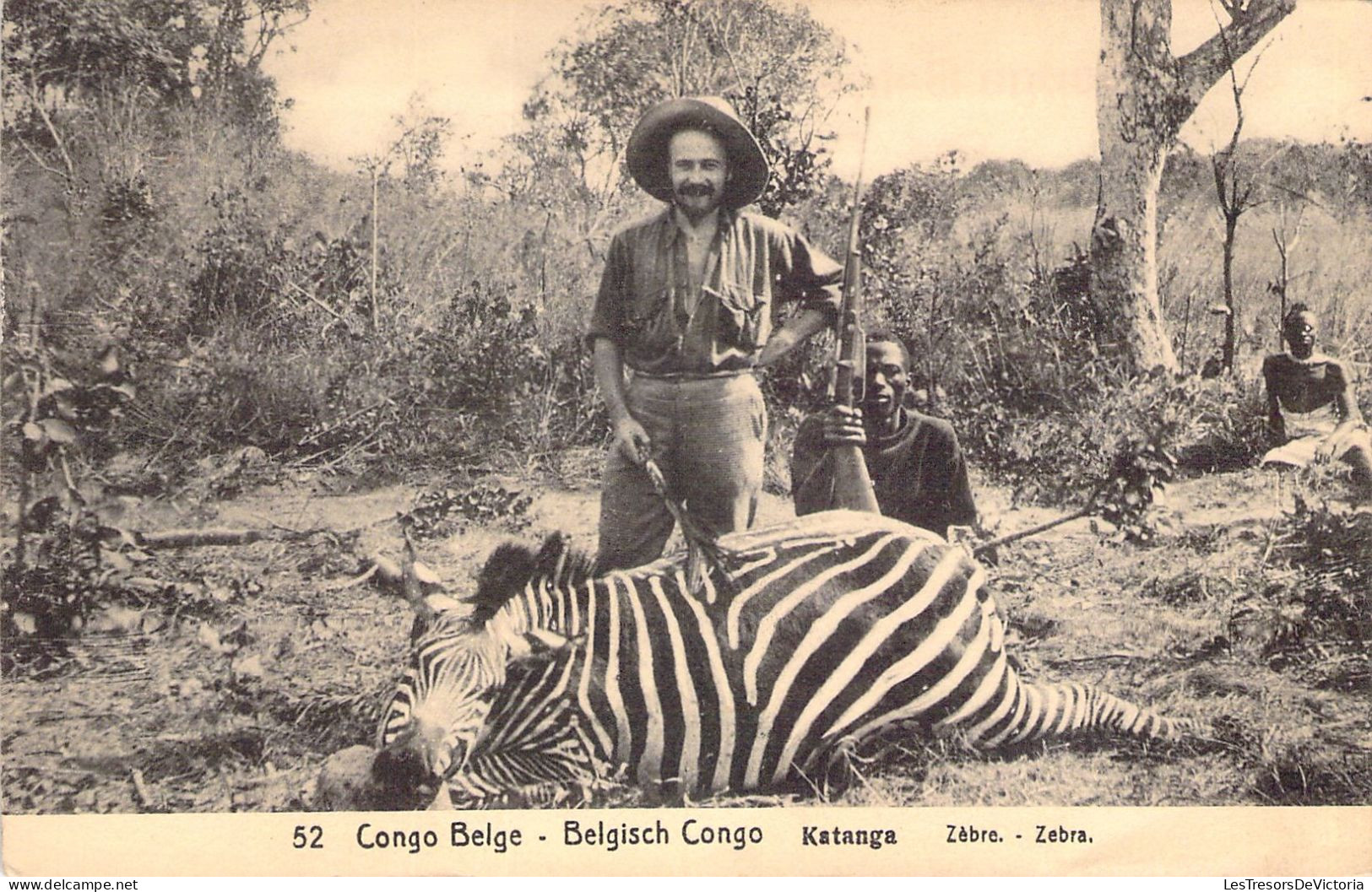 CONGO - Katanga - Chasse - Zèbre - Carte Postale Ancienne - Autres & Non Classés