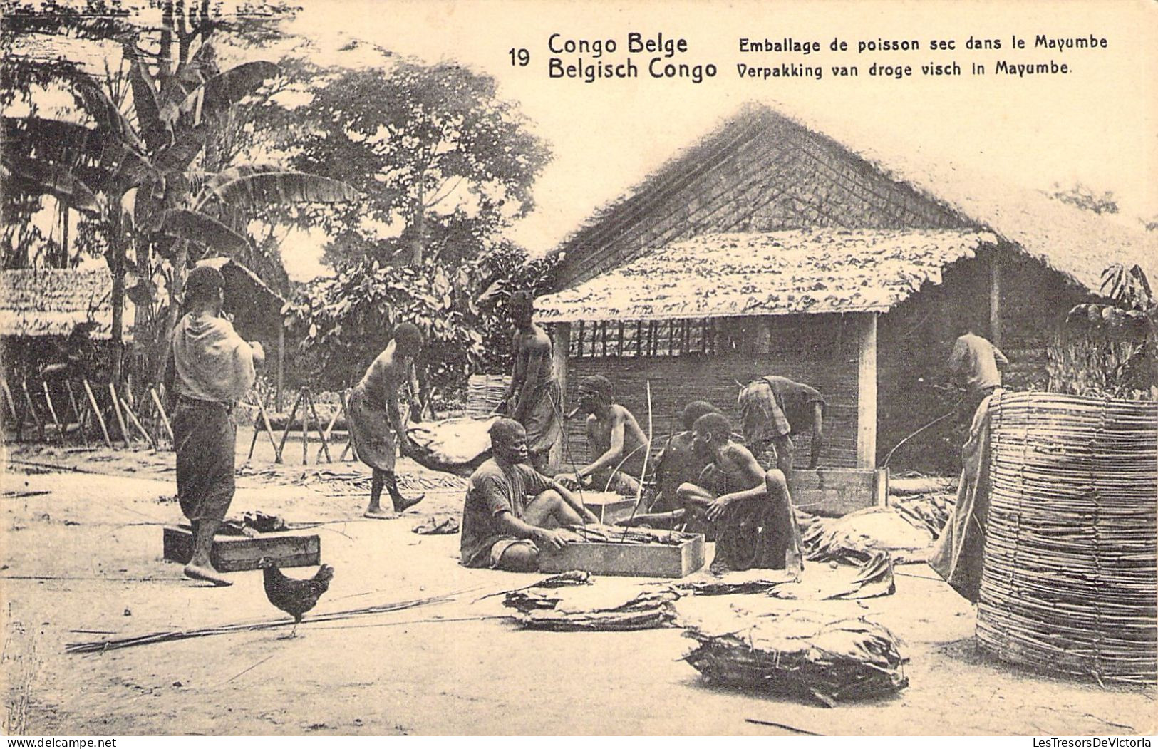 CONGO - Emballage Du Poisson Sec Dans La Mayumbe - Carte Postale Ancienne - Autres & Non Classés