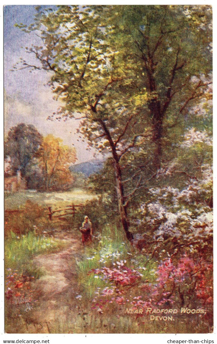 Near Radford Woods - G.H. Jenkins - Tuck Oilette 7858 - Plymouth