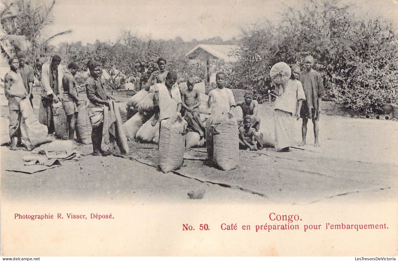 CONGO - Café En Préparation Pour L'embarquement - Carte Postale Ancienne - Otros & Sin Clasificación