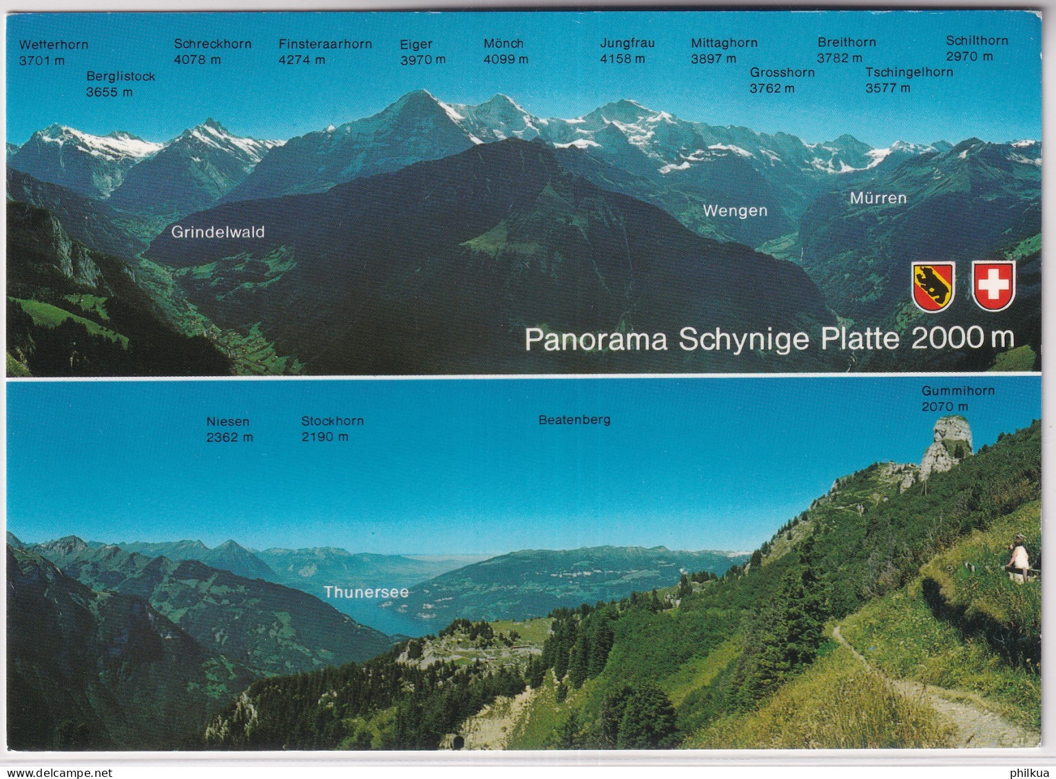 Panorama Schynige Platte - Gelaufen Ab Wilderswil - Wilderswil