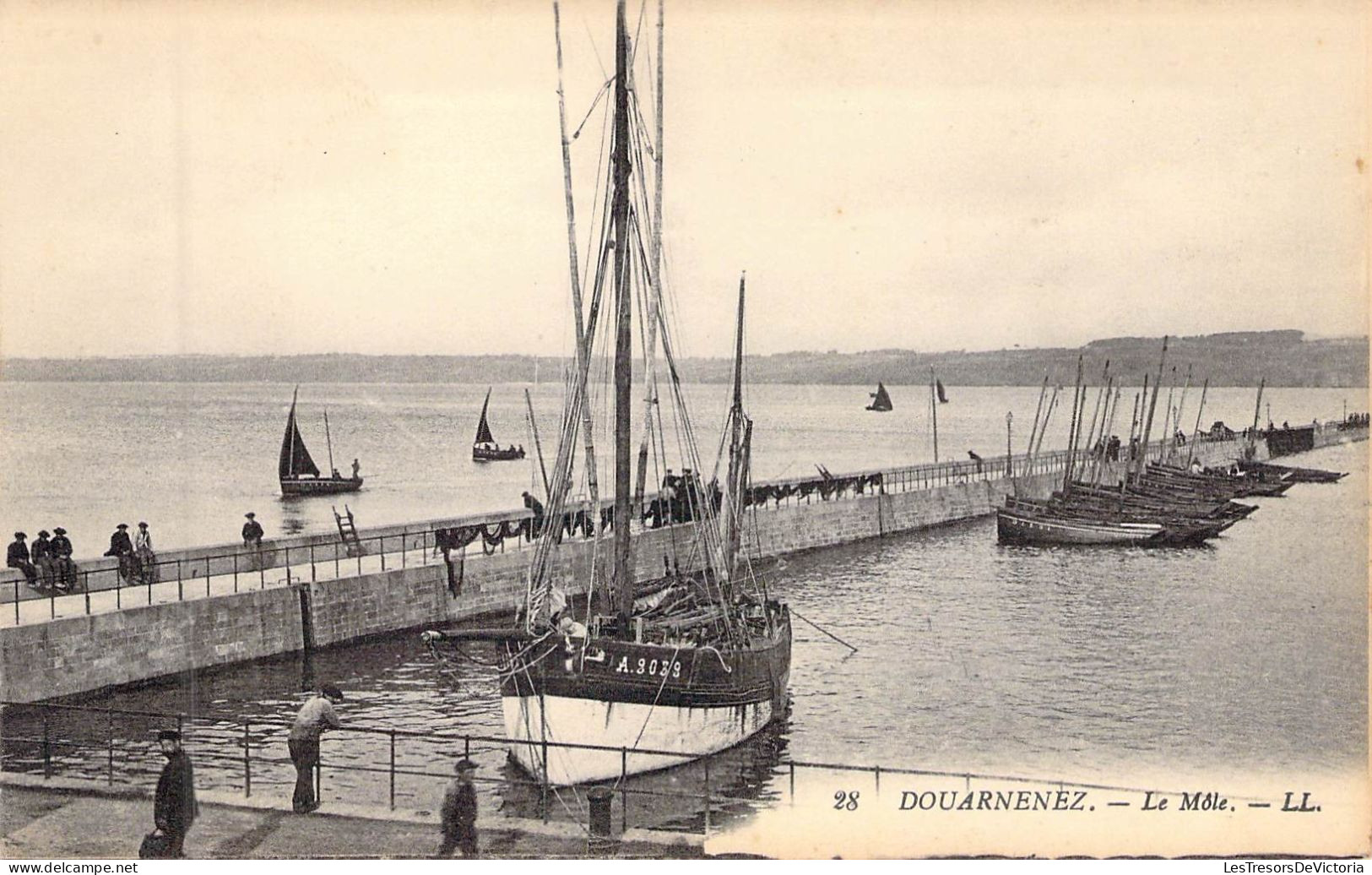 FRANCE - 29 - DOUARNENEZ - Le Môle - LL - Carte Postale Ancienne - Douarnenez