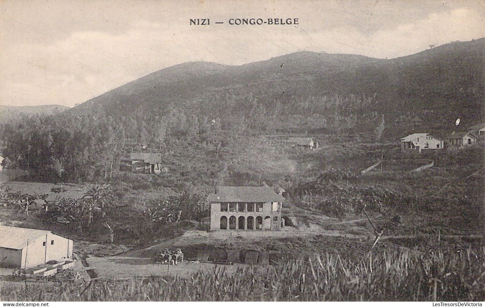 CONGO - NIZI - Carte Postale Ancienne - Other & Unclassified