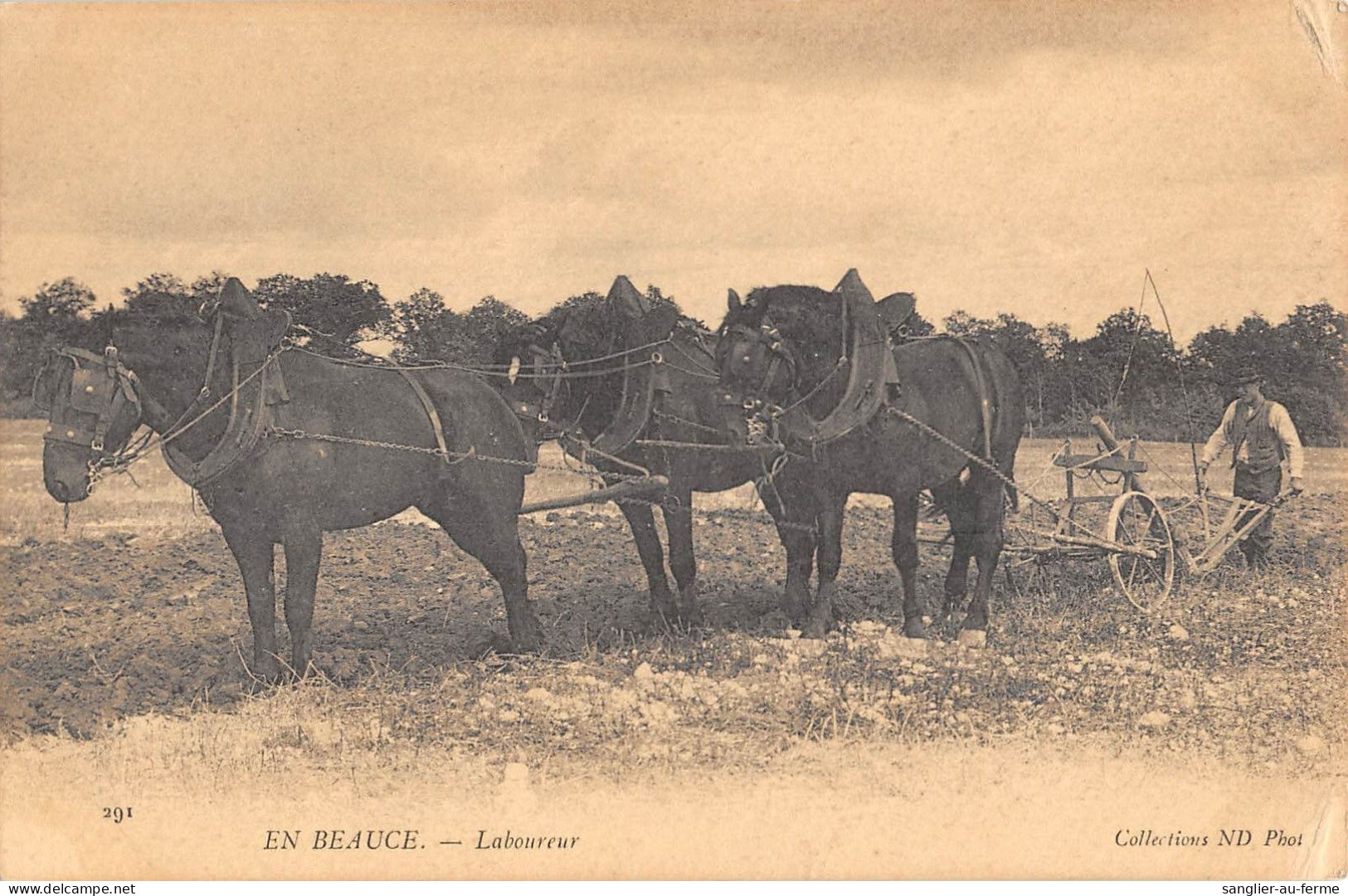 CPA 45 EN BEAUCE LABOUREUR - Autres & Non Classés