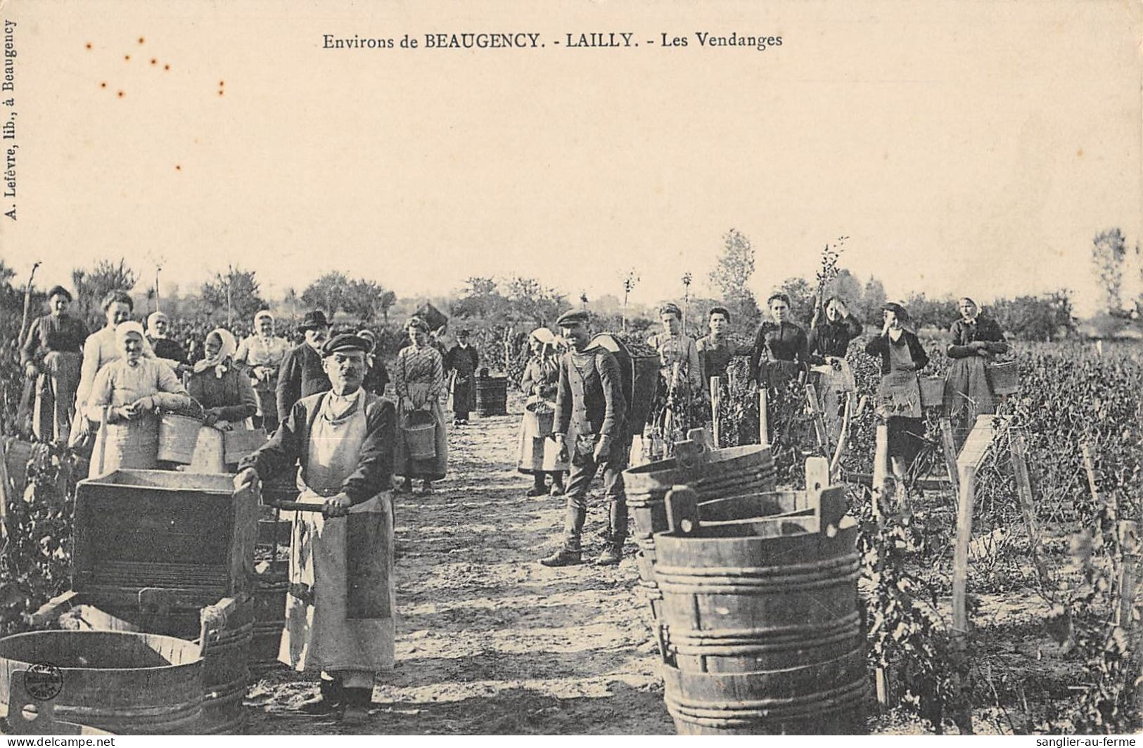 CPA 45 LAILLY LES VENDANGES - Other & Unclassified