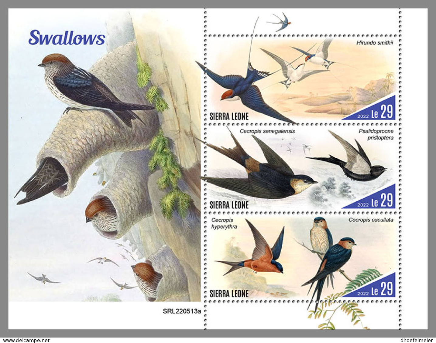 SIERRA LEONE 2022 MNH Swallows Schwalben Avale M/S - OFFICIAL ISSUE - DHQ2316 - Hirondelles