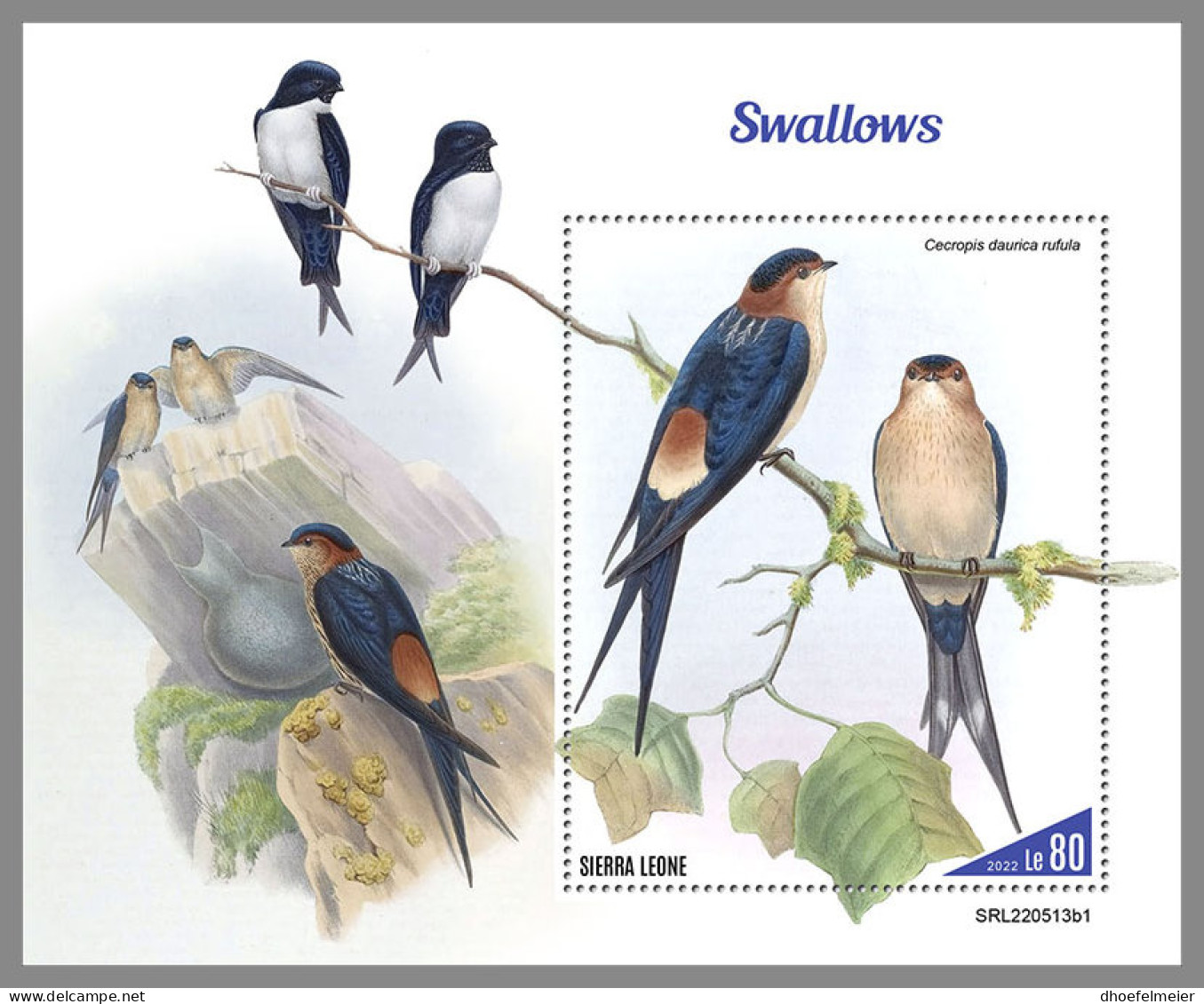 SIERRA LEONE 2022 MNH Swallows Schwalben Avale S/S I - OFFICIAL ISSUE - DHQ2316 - Golondrinas