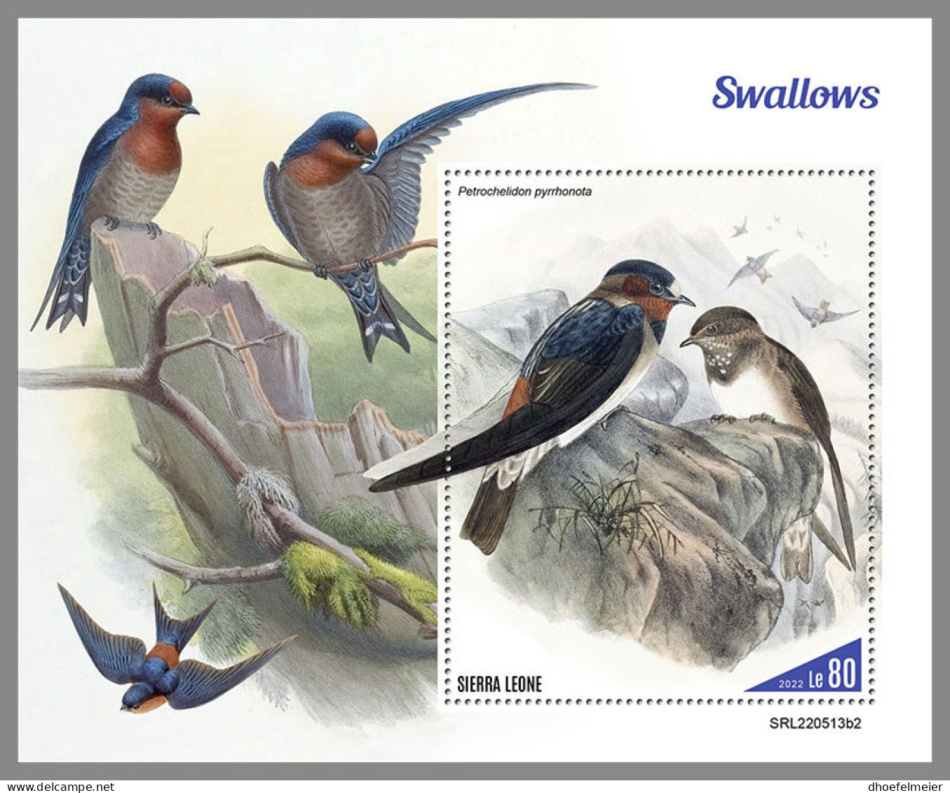 SIERRA LEONE 2022 MNH Swallows Schwalben Avale S/S II - OFFICIAL ISSUE - DHQ2316 - Zwaluwen