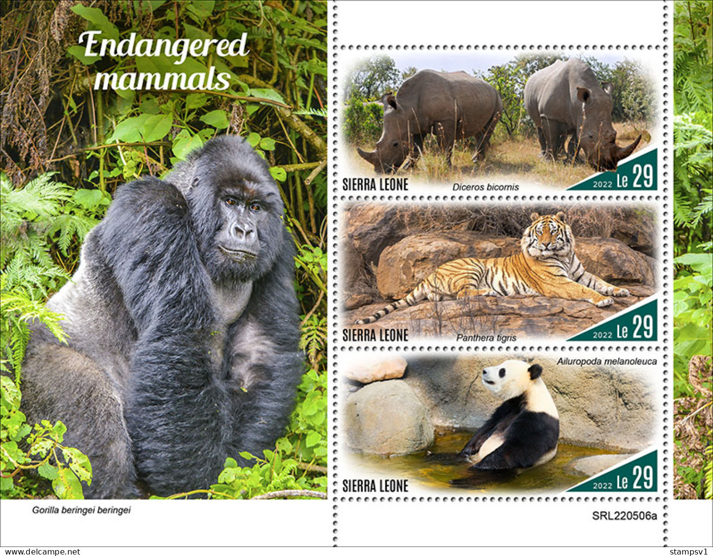 Sierra Leone  2022 Endagered Mammals. Gorillas.  (506a) OFFICIAL ISSUE - Gorilla's