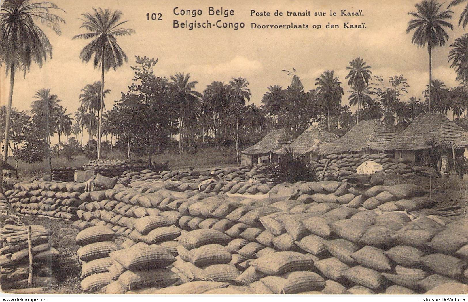 CONGO BELGE - Poste De Travail Sur Le Kasai - Carte Postale Ancienne - Congo Belge