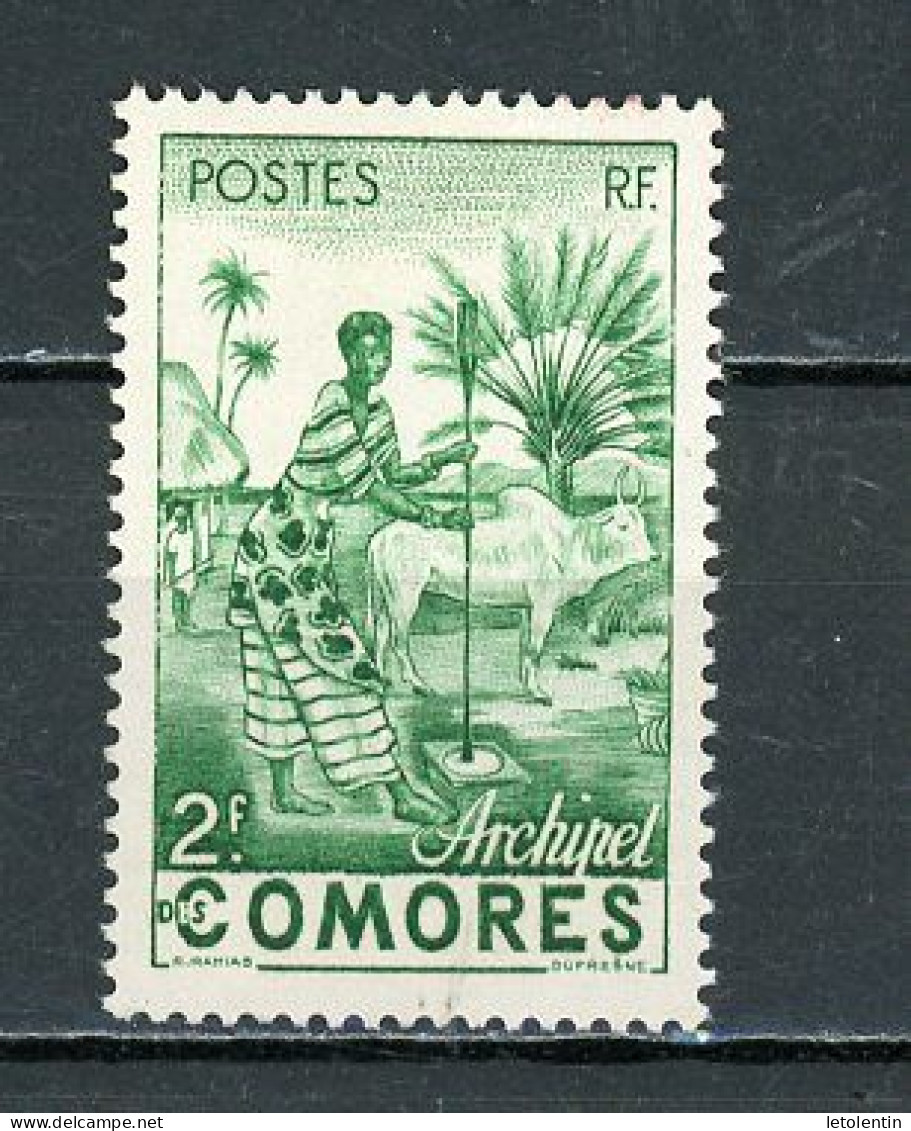 COMORES - FEMME -  N° Yt  4 Obli. - Usados