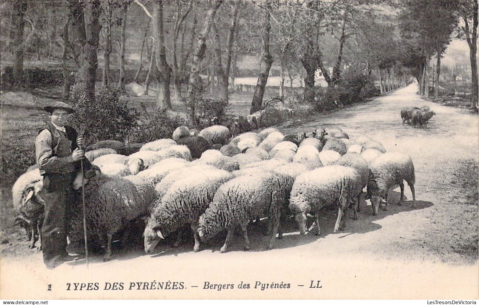 FOLKLORE - Types De Pyrénées - Bergers Des Pyrénées - Carte Postale Ancienne - Sonstige & Ohne Zuordnung