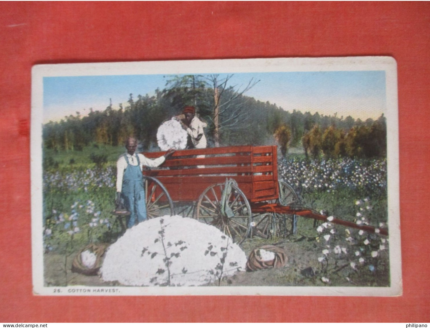 Black Americana   Cotton Harvest.       Ref 6031 - Black Americana