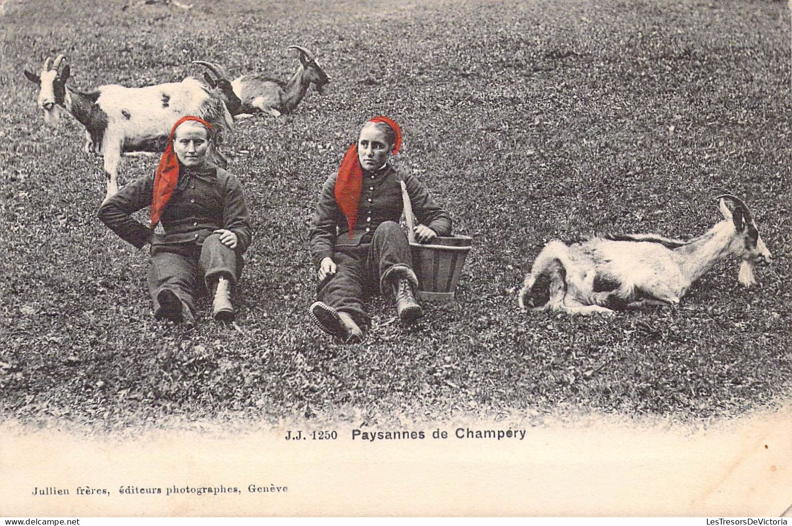 FOLKLORE - Paysannes De Champéry - Chèvres - Carte Postale Ancienne - Andere & Zonder Classificatie