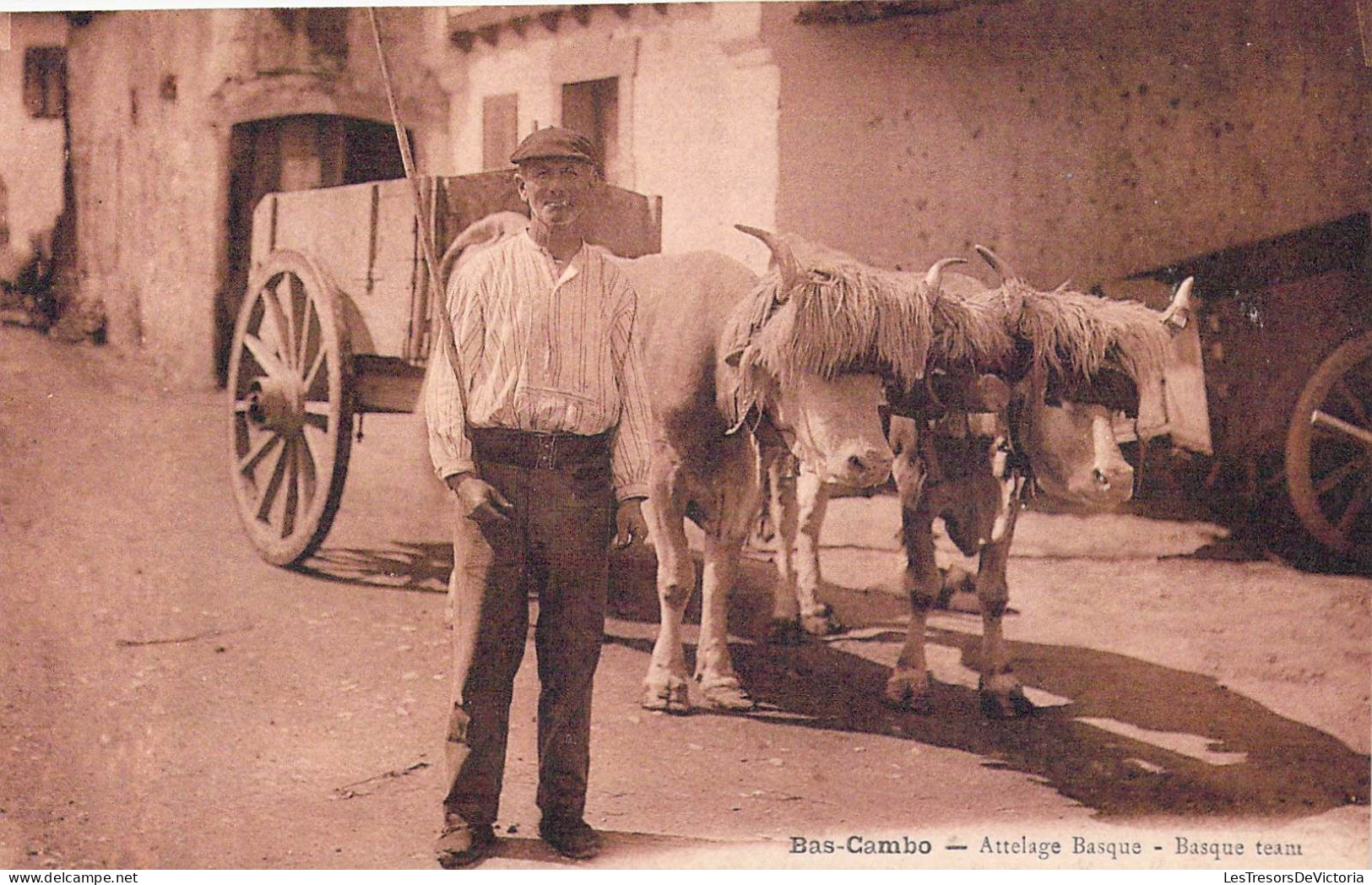 AGRICULTURE - Attelage Basque - Bas-Cambo - Carte Postale Ancienne - Attelages