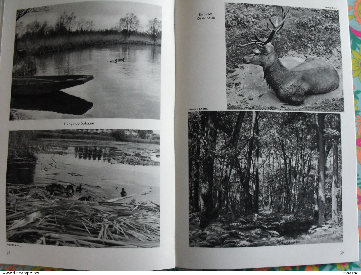 La France à table n° 94. 1962. Loiret. Orléans olivet beaugency sully gien briare montargis boesse cléry. gastronomie