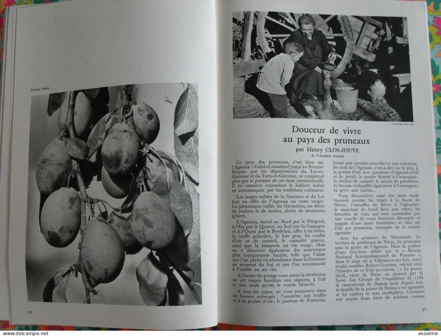 La France à table n° 163. 1972. Lot-et-Garonne. agen nerac villeneuve puymirol villereal marmande fumel. gastronomie