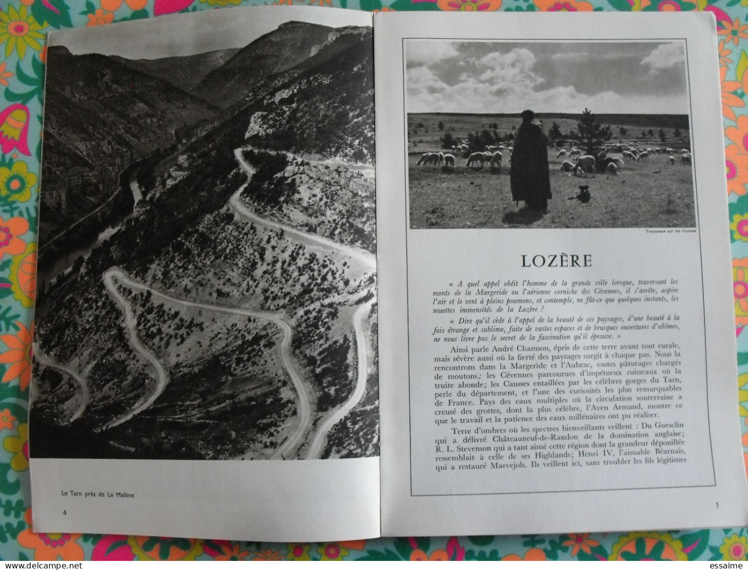 La France à Table N° 151. 1971. Lozère. Mende Langogne Tarn Aven Armand Dargilan Chirac Chanac Bagnols. Gastronomie - Toerisme En Regio's