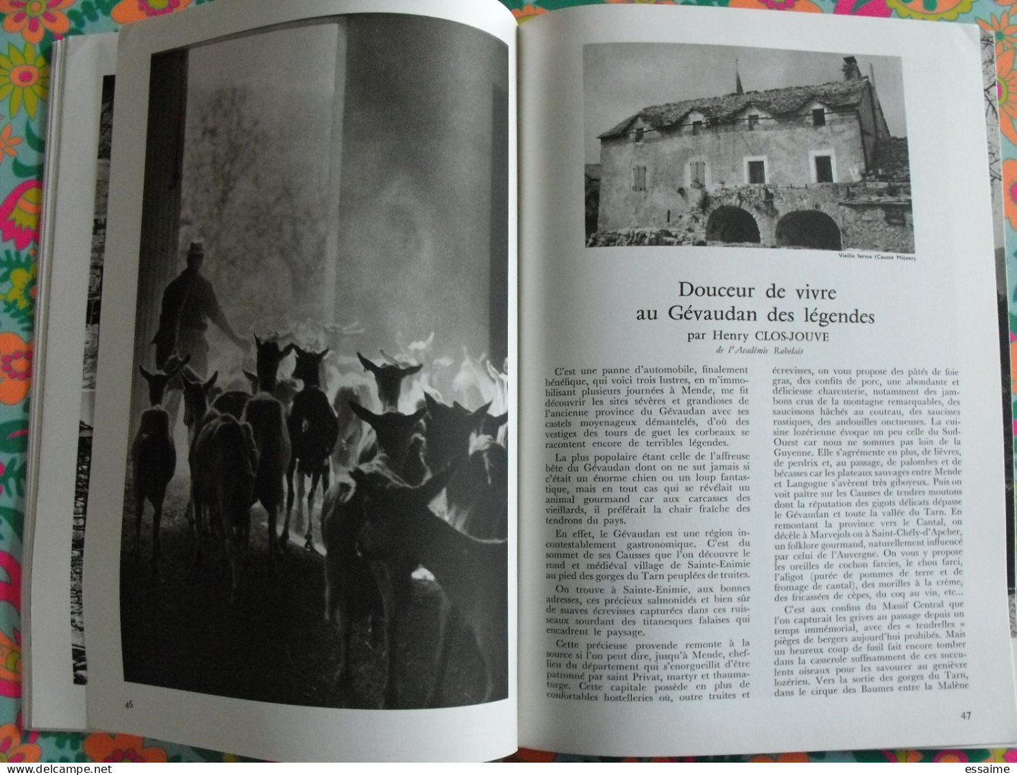 La France à table n° 151. 1971. Lozère. mende langogne tarn aven armand dargilan chirac chanac bagnols. gastronomie