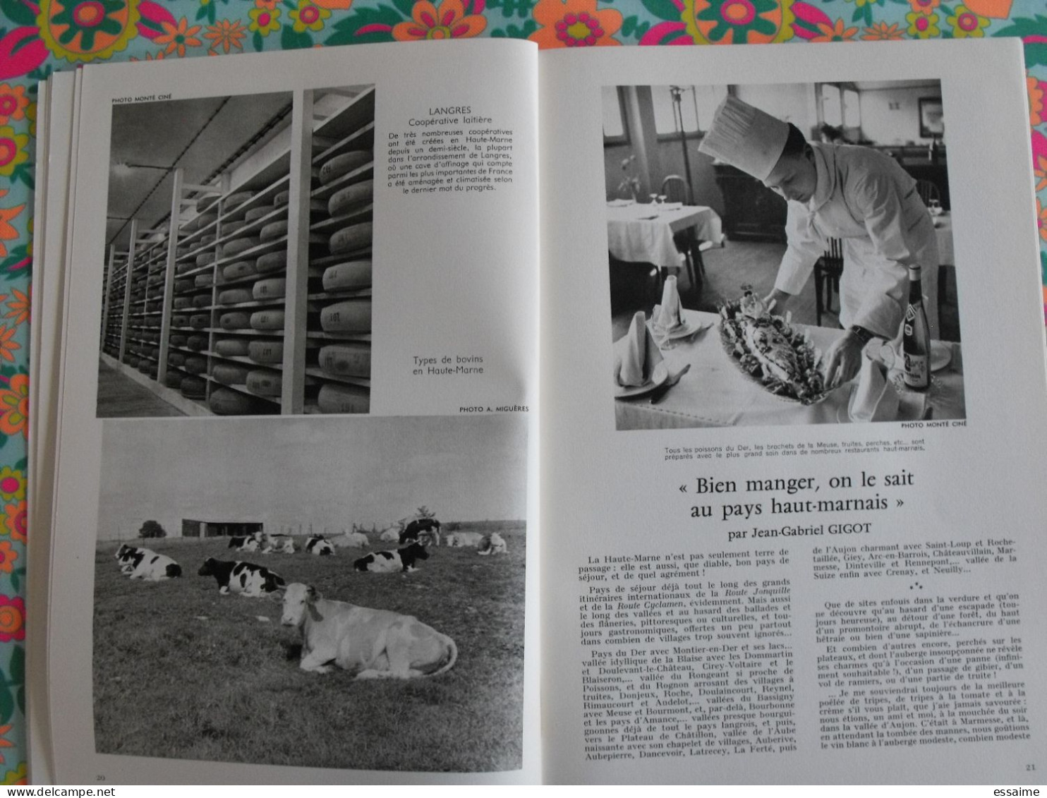 La France à table n° 116. 1965. Haute-Marne. chaumont joinville donjeux vignory bourbonne langres prangey. gastronomie