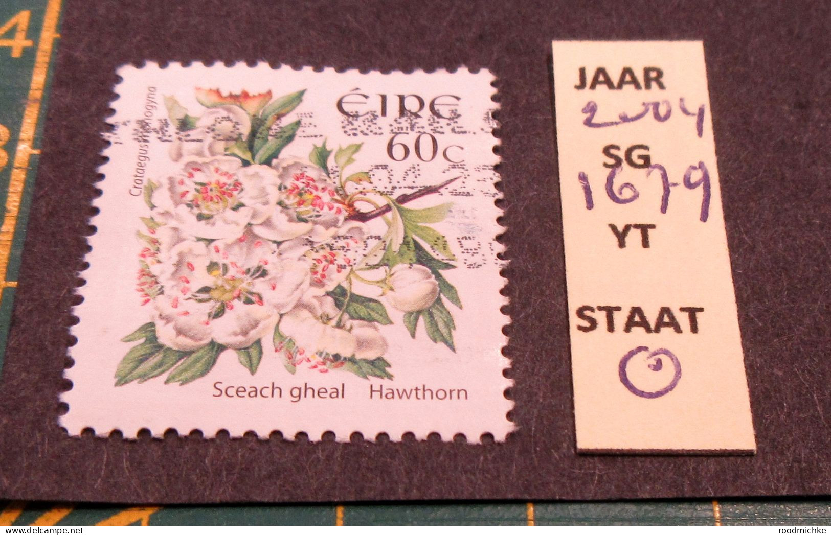 IERLAND  JAAR 2004 FLOWERS SG1679 USED - Gebruikt