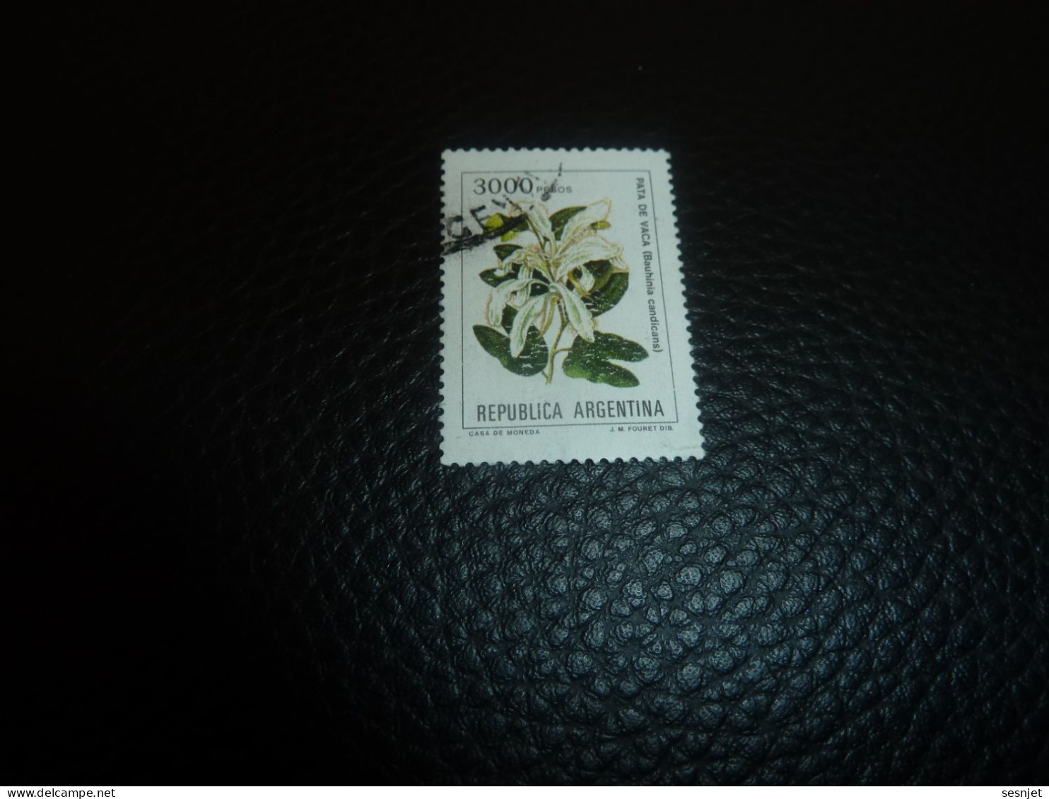 Républica Argentina - Pata De Vaca (Bauhinia Candicans - 3000 Pesos -Yt 1335 - Multicolore - Oblitéré - Année 1982 - - Used Stamps