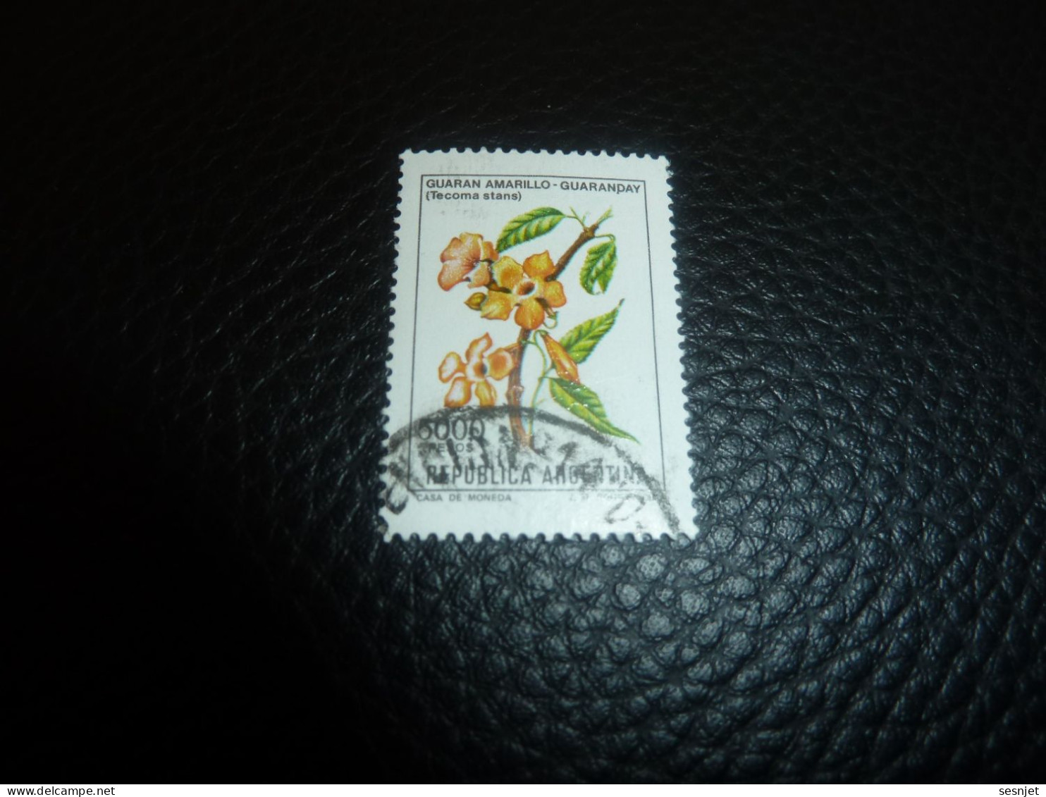 Républica Argentina - Guaran Amarillo Quaranday (Tecoma)- 5000 - Pesos - Yt 1292 - Multicolore - Oblitéré - Année 1982 - - Used Stamps
