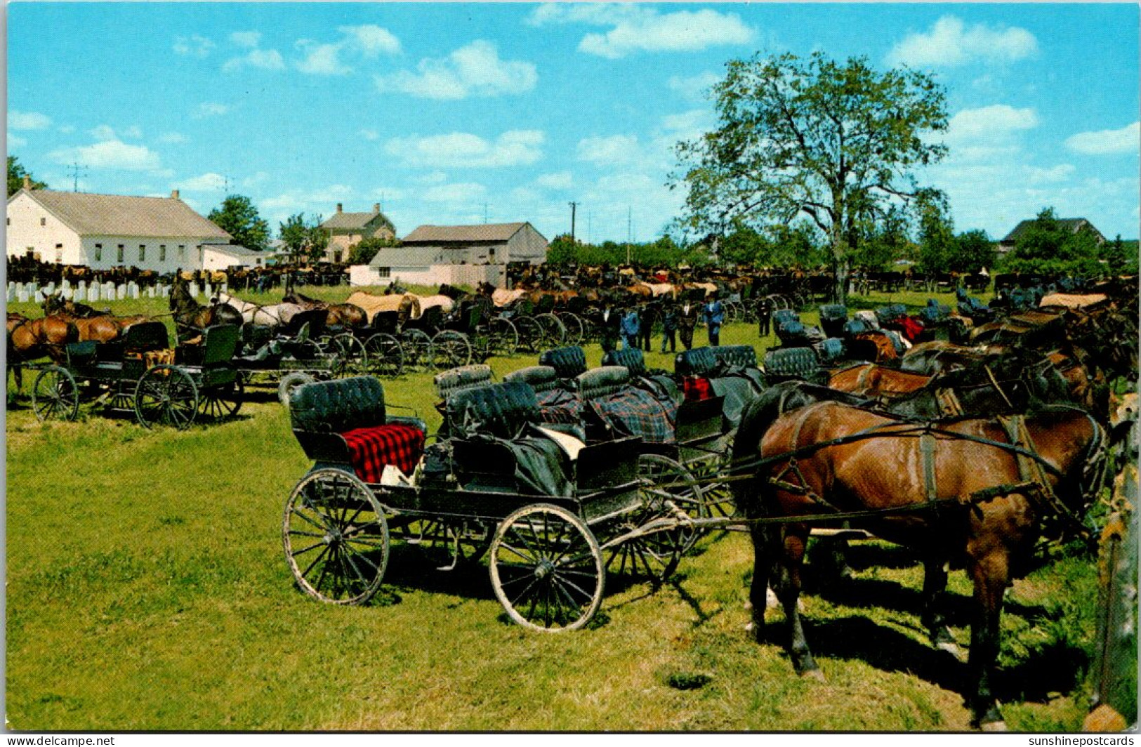 Canada Kitchener-Waterloo Horses And Buggies Behind Martin's Old Order Mennonite Meeting House - Kitchener