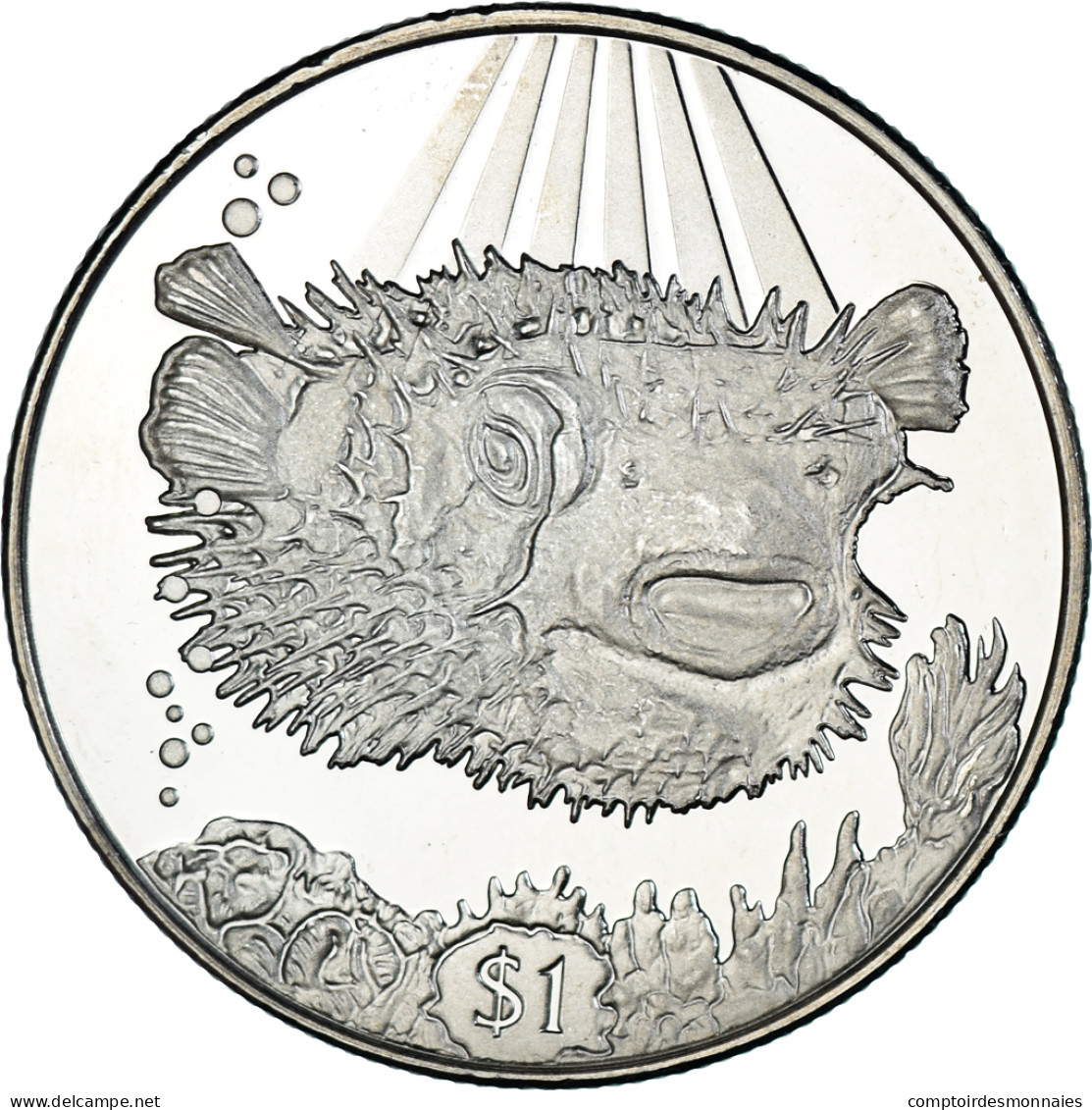 Monnaie, Îles Vierges Britanniques, Dollar, 2019, Pobjoy Mint, Poisson - Iles Vièrges Britanniques