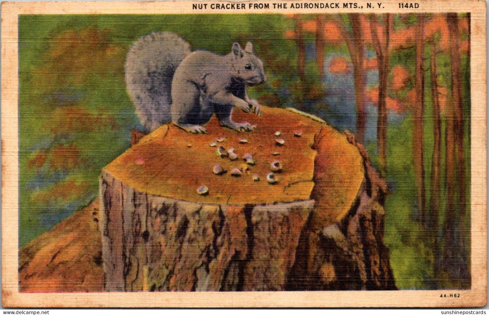 New York Nut Cracker From The Adirondack Mountains With Squirrel 1945 Curteich - Adirondack