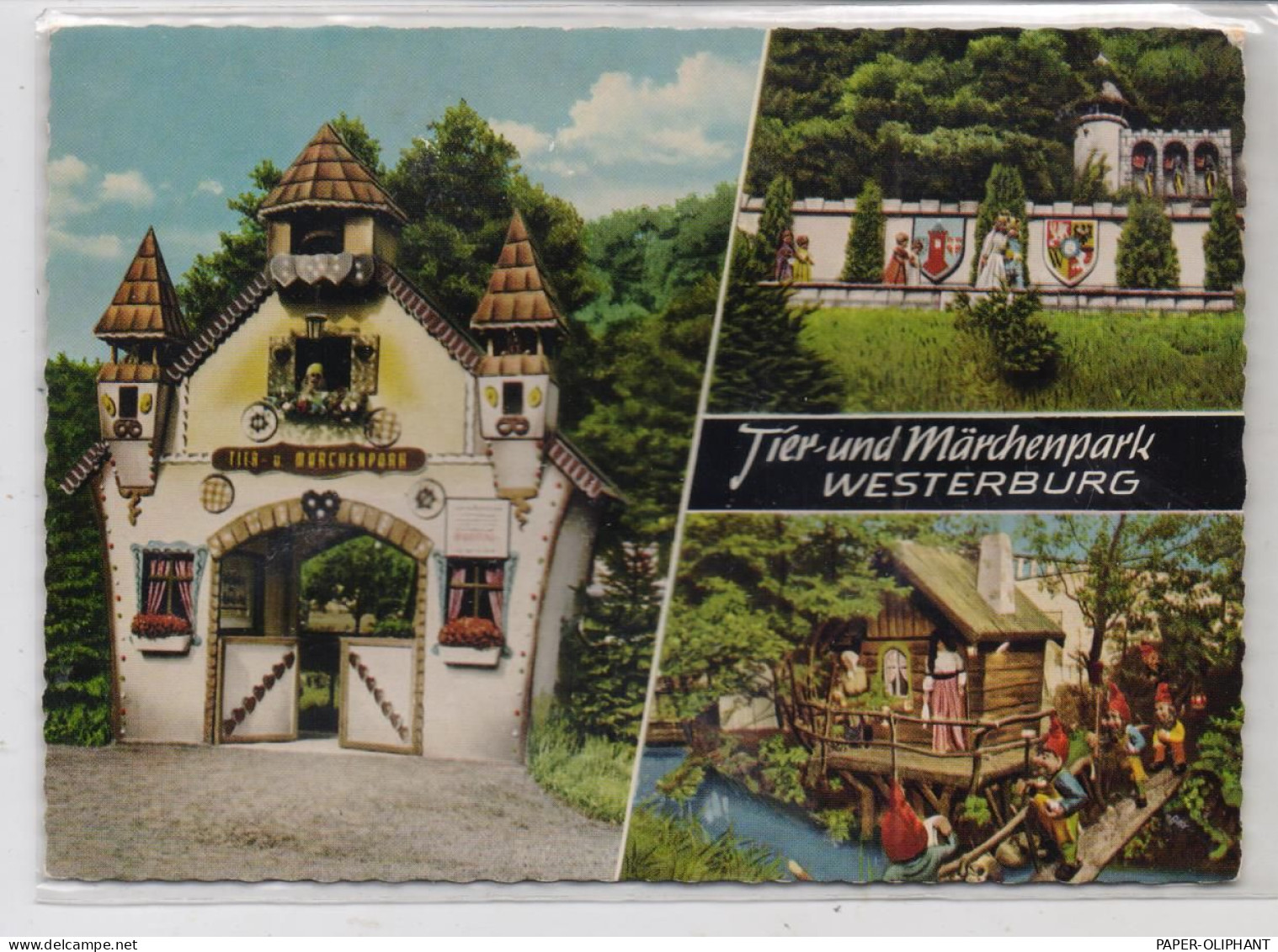 5438 WESTERBURG, Tier - Und Märchenpark, 1963 - Westerburg