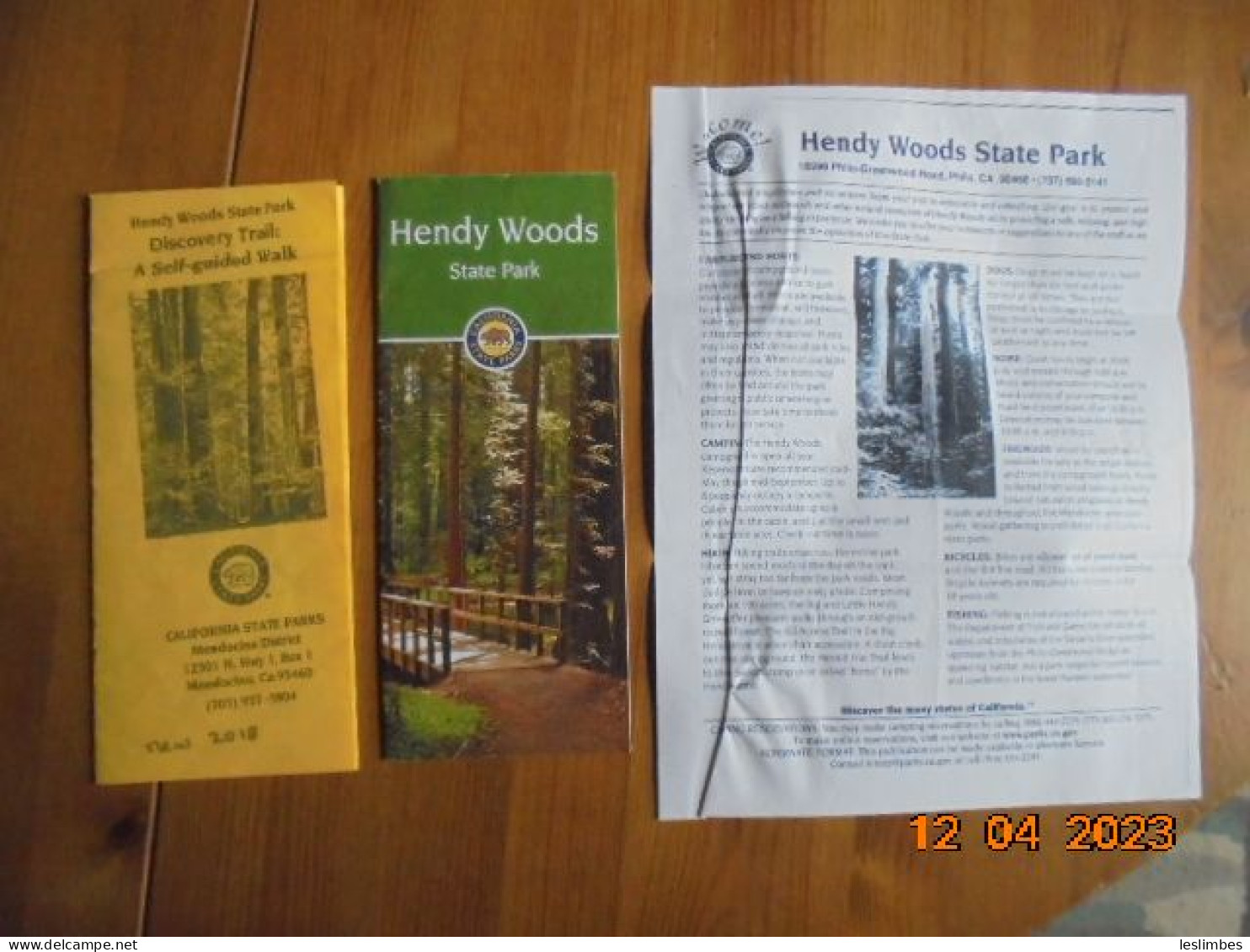 Hendy Woods California State Park - Field Guides