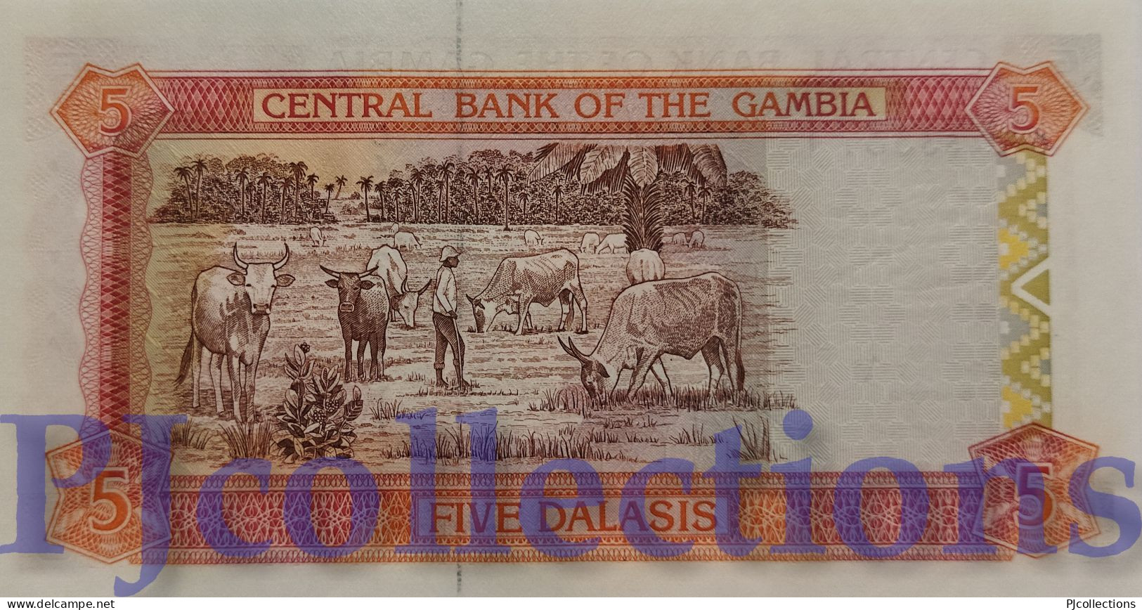 GAMBIA 5 DALASIS 1996 PICK 20a UNC - Gambia