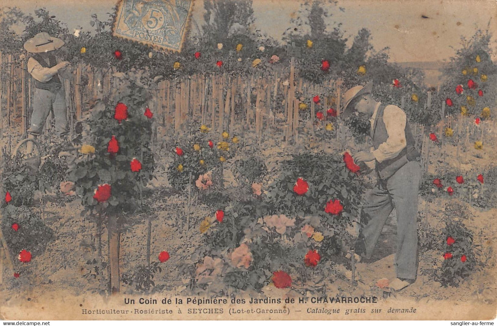 CPA 47 SEYCHES UN COIN DE LA PEPINIERE DES JARDINS DE H.CHAVARROCHE HORTICULTEUR - Autres & Non Classés