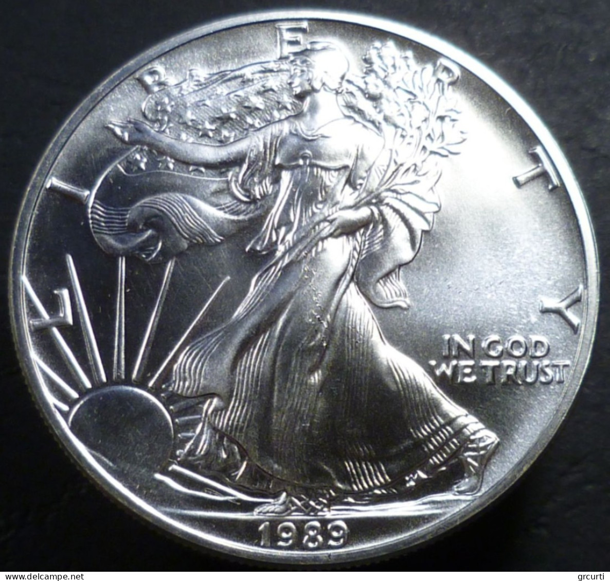 Stati Uniti D'America - 1 Dollaro 1989 - Aquila Americana - KM# 273 - Sin Clasificación