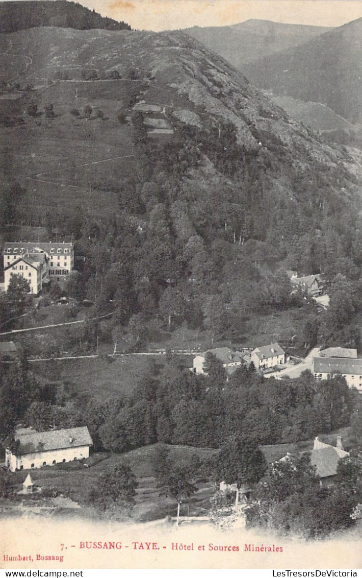 FRANCE - 88 - Bussang Taye - Hôtel Et Sources Minérales - Carte Postale Ancienne - Bussang