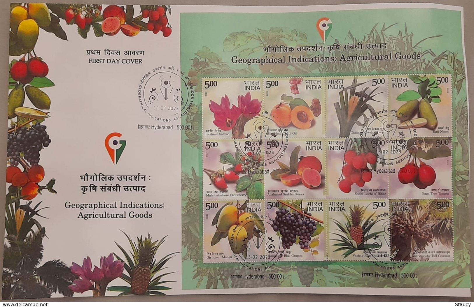 India 2023 GI Fruits Series Grapes Agriculture Mango Gastronomy SS First Day Cover FDC HYDERABAD Cancelled As Per Scan - Agriculture